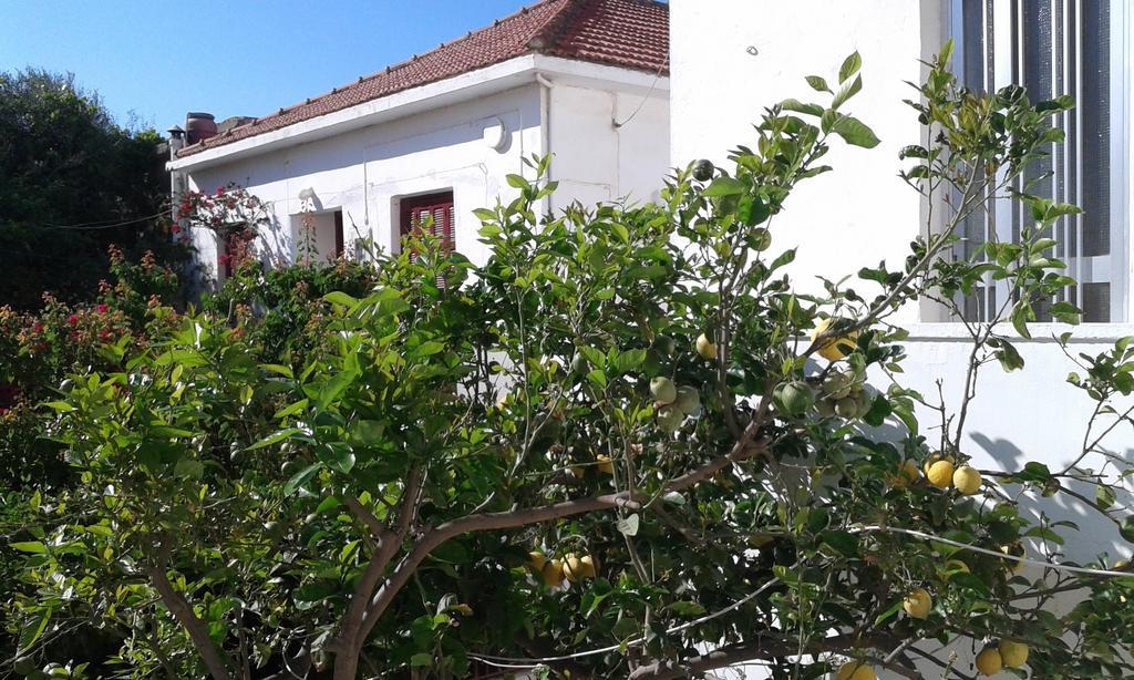 Holiday Froudaki 1 Holiday home Kissamos